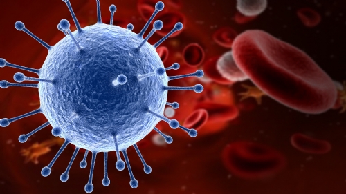 VACINAS APRIMORADAS CONTRA GRIPE REDUZEM HOSPITALIZAÇÕES EM IDOSOS VACINAS APRIMORADAS CONTRA GRIPE REDUZEM HOSPITALIZAÇÕES EM IDOSOS